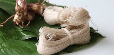 Miến dong Thuận Hương