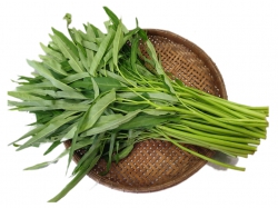 Rau Muống