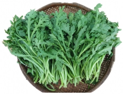 Rau Tần Ô - Cải Cúc