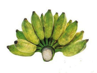 Chuối xiêm - chuối sứ