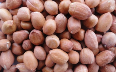 Đậu Phộng _ Đà Lạt - 300gr