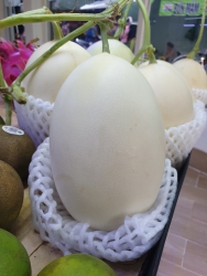 Dưa Lê Bạch Ngọc